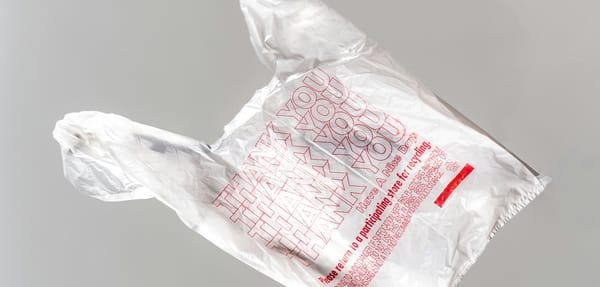 Plastic Ban in effect! What next?